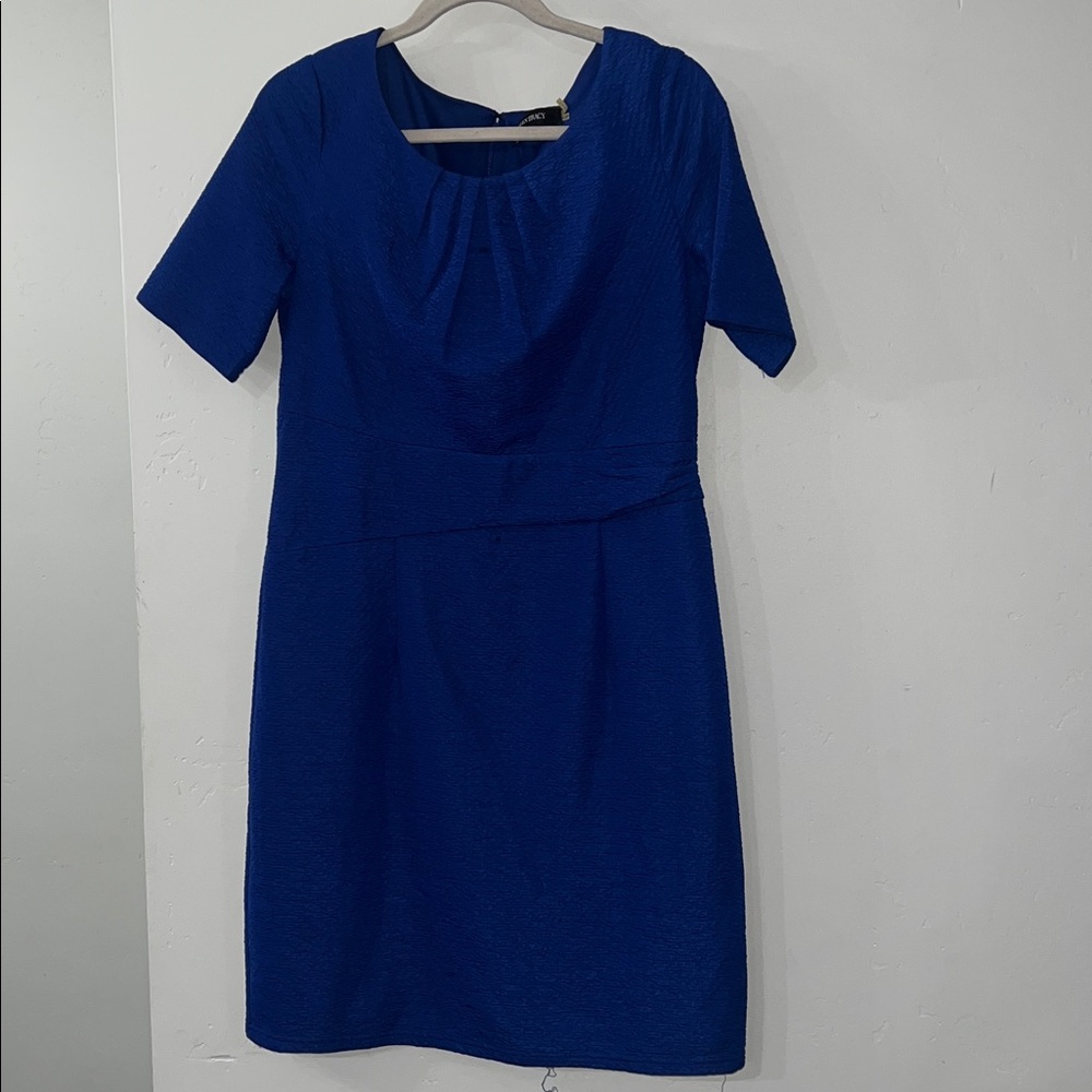 Elegant Ellen Tracy Dress